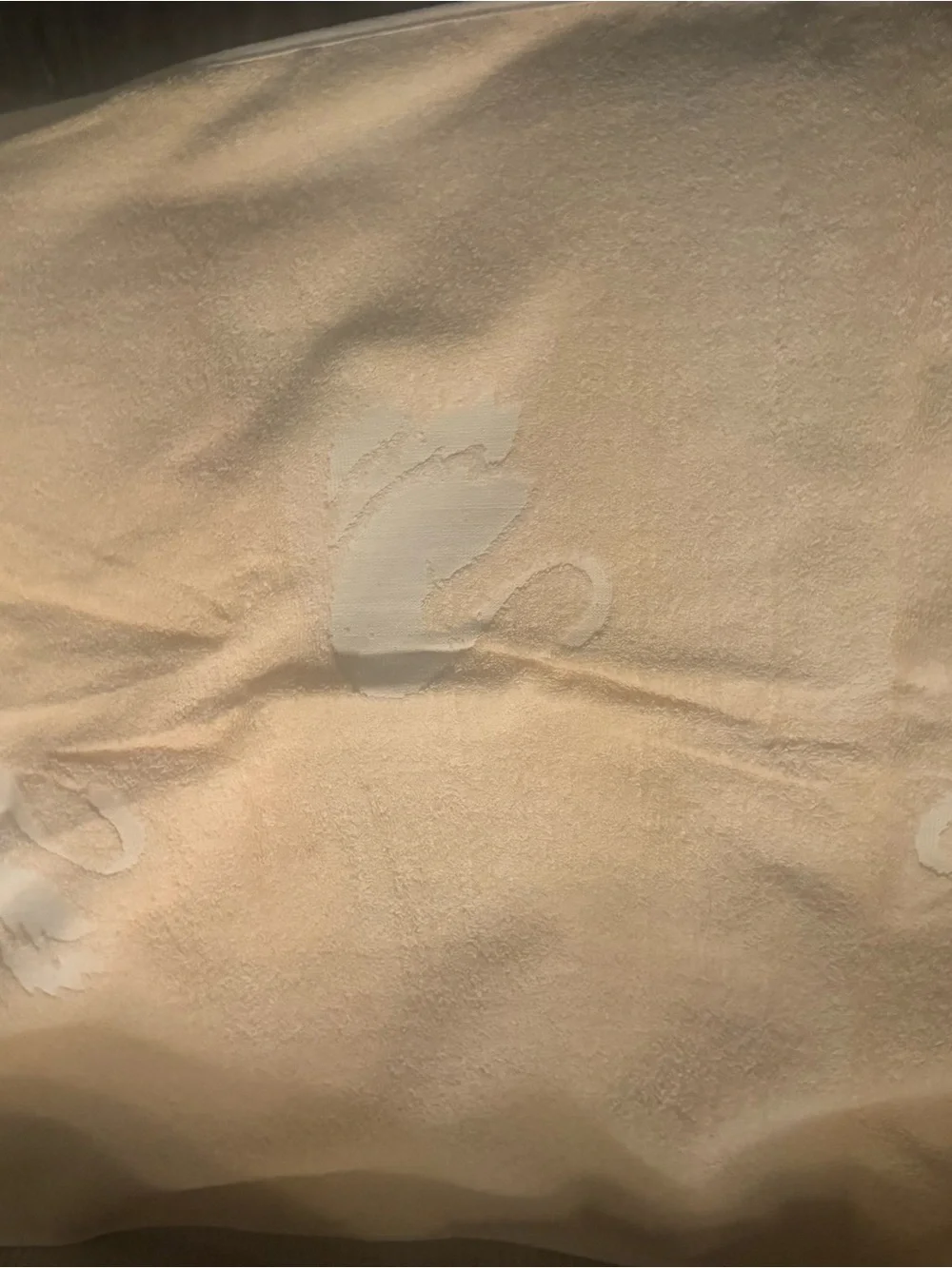 Swan Face Towel in Soft Peach 21.5 x 41.5 Set of two